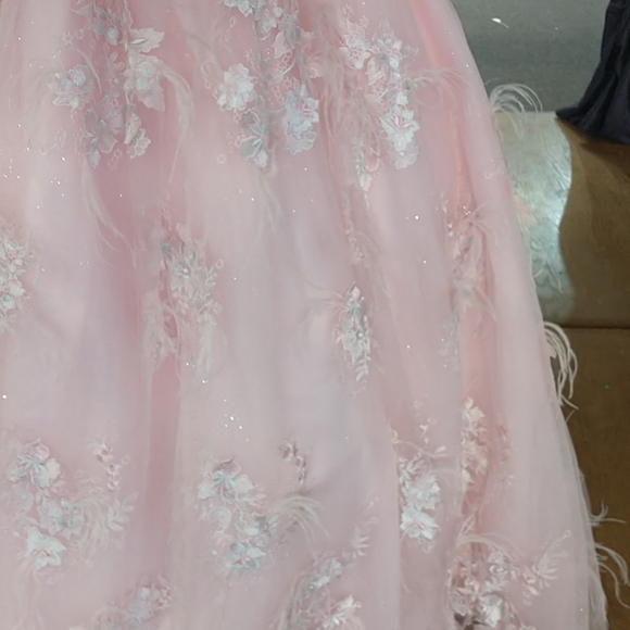 Quinceanera or Prom gown pink with feathers corset back - Picture 5 of 10